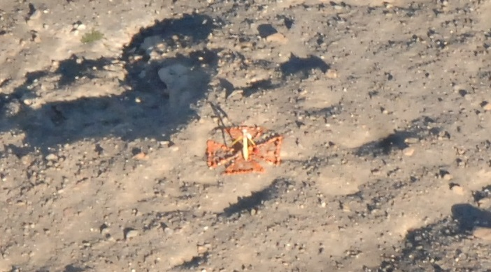 Photograph showing poor satellite ground target Figure 5a: This target appears clearly in the digital photo, but the contrast between the orange material and brown earth is not very strong.