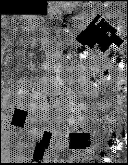 black and white photo of over 15000 ground survey points in PhotoSat Test Area