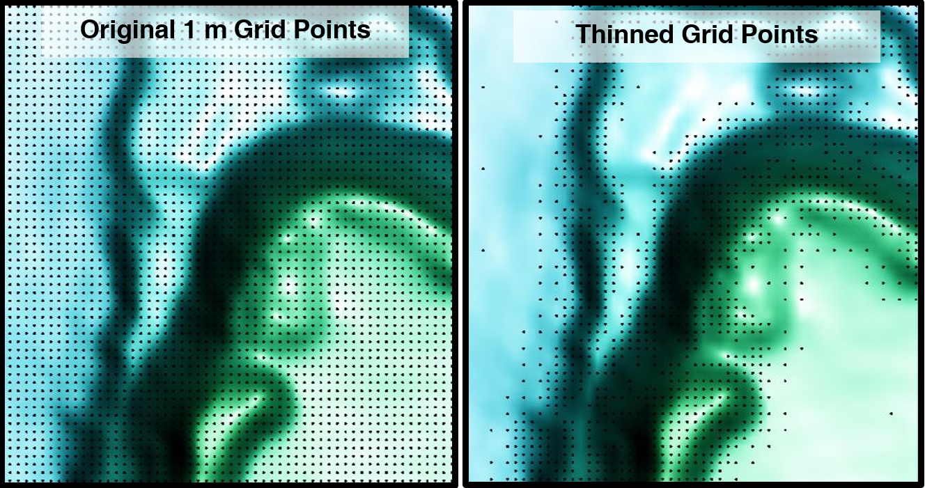 thinned 1 Original 1m grid points and thinned grid points generated by PhotoSat’s grid thinning system.