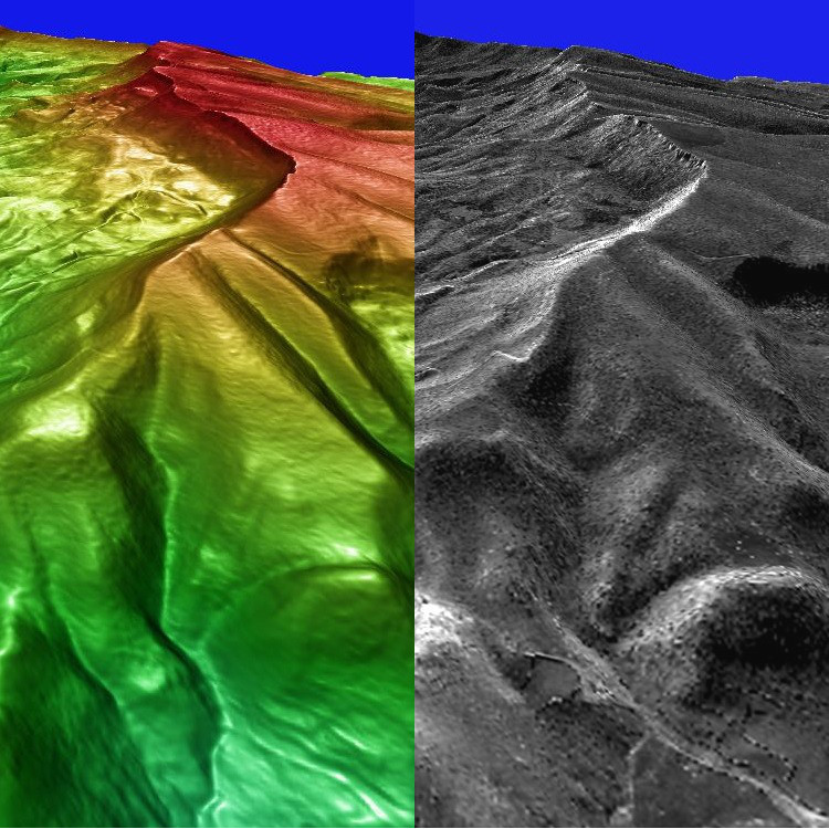 PhotoSat's 1m elevation image and 50cm Pleiades satellite photo over the same area. Image copyright Airbus. Image 2 of 6