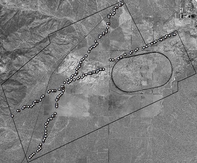 WorldView-1 50cm resolution orthophoto, created from the WorldView-1 stereo photos, for the area of the LiDAR survey used in this study. The 7.5 mile oval track is the Honda California Test Track. The 153 ground reference points are shown as a white crosses. The ground reference points were extracted from the LiDAR survey data. This is typical of the distribution of ground survey points long 2D seismic lines on a typical Oil and Gas exploration project.